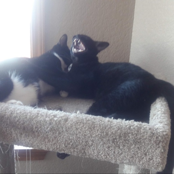 Hello 🥰 - Picture 8 of 8